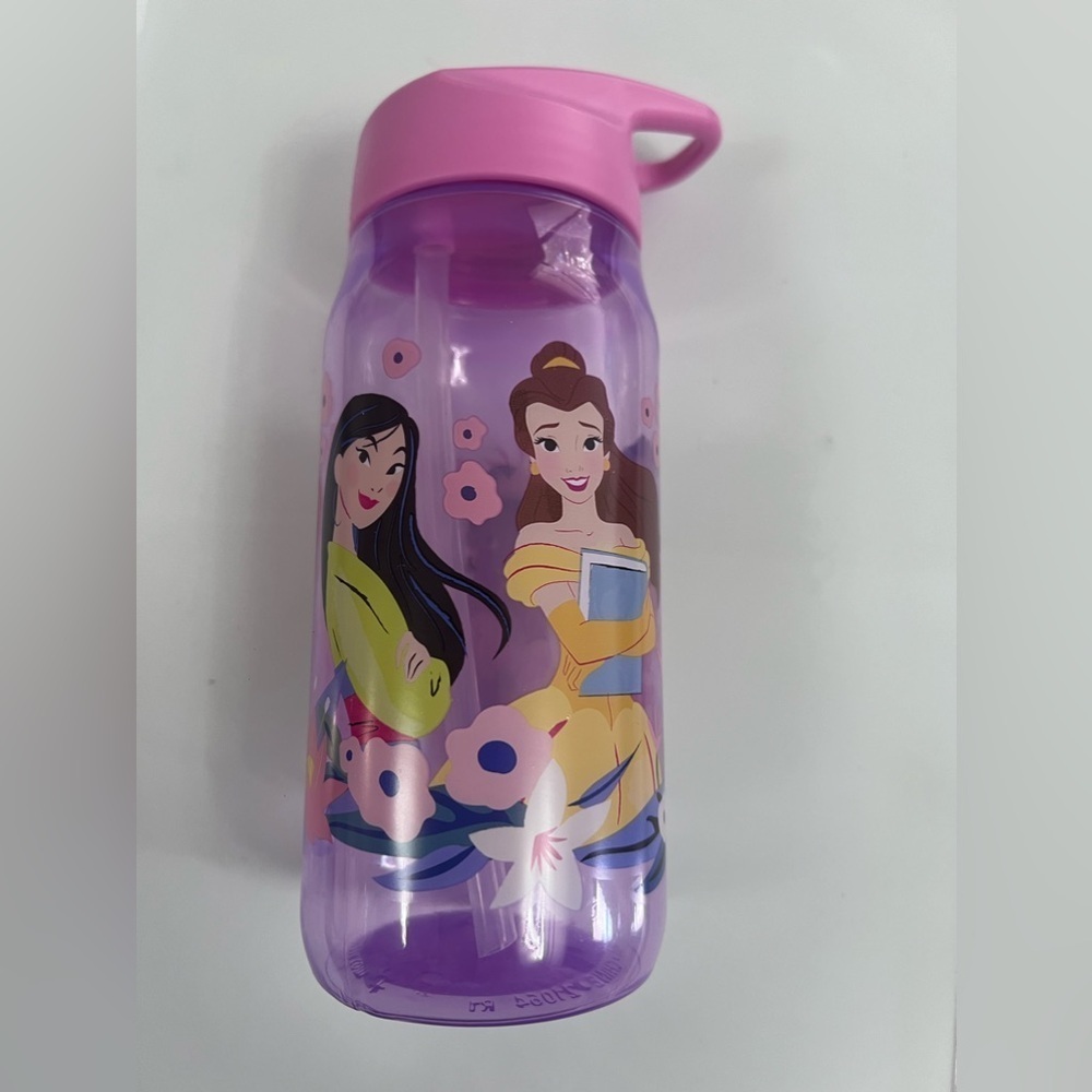 Disney Princess Sip Water Bottle w/Carry Loop 16 oz Sippy Cup zak Designs
